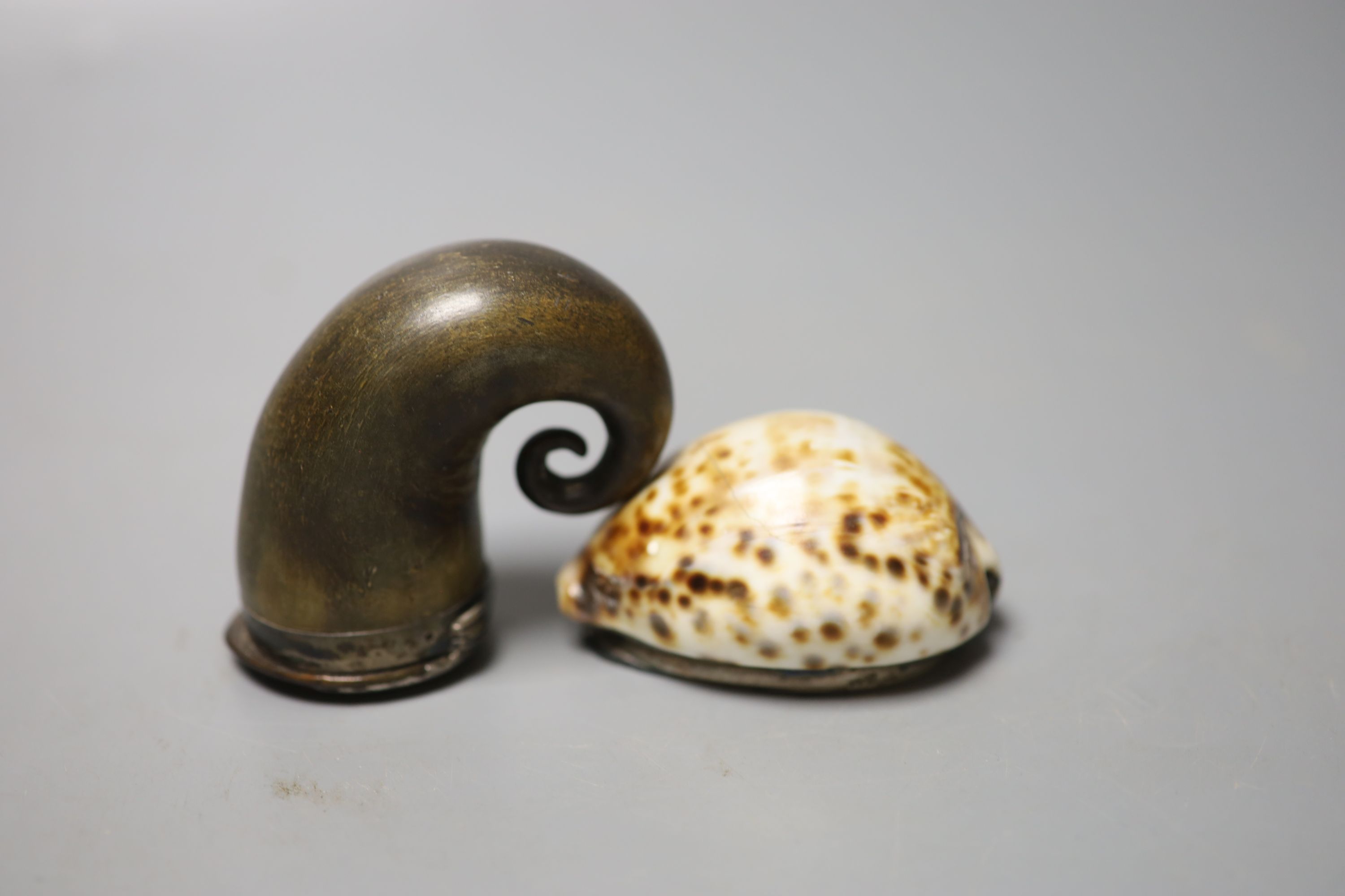 A 19th century white metal mounted horn snuff mull, 7cm and a similar white metal mounted cowrie shell snuff box, 73mm(a.f.),